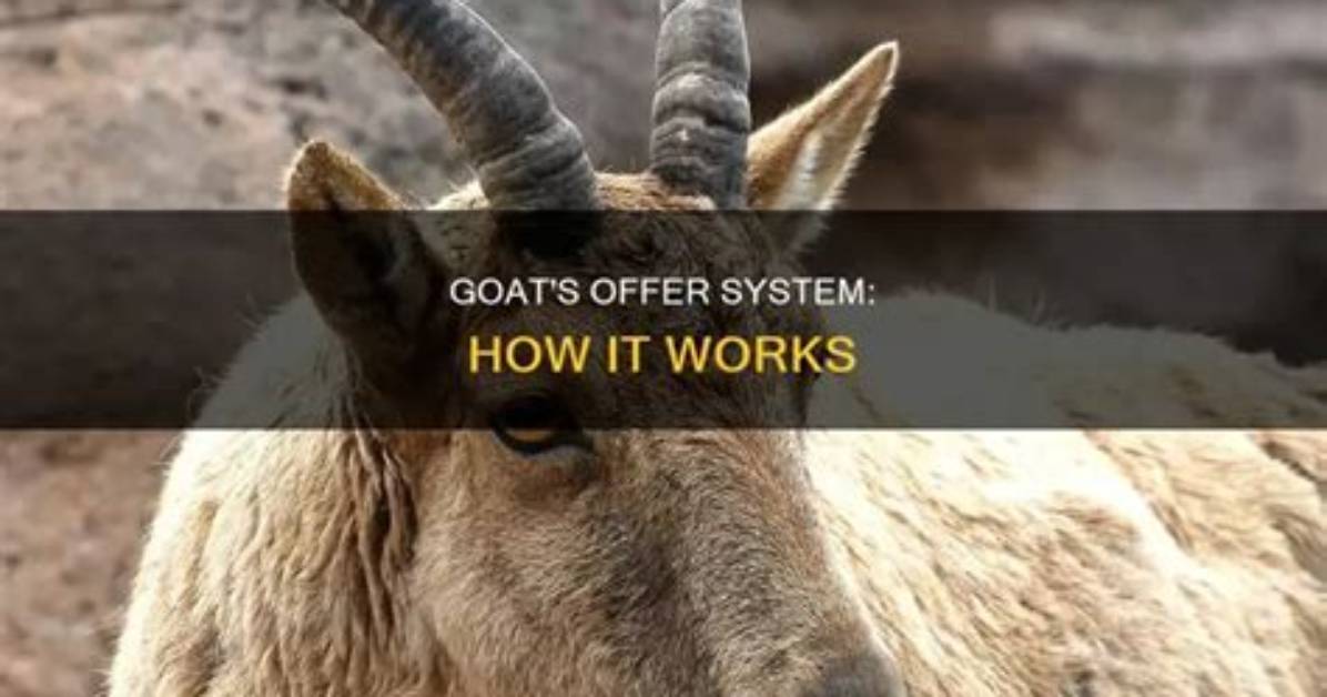 Does Offering on Goat Actually Work the Hidden Rules Sneaker Buyers Don T