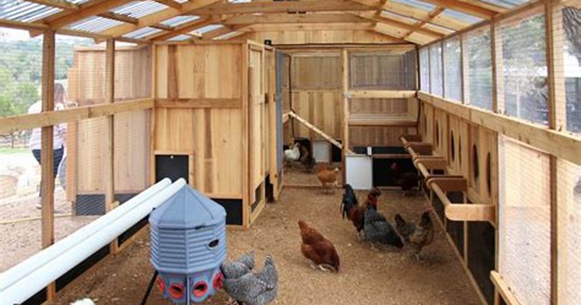 Does the Sentinel Coop Truly Hold 8 Chickens Tractor Supply Claims