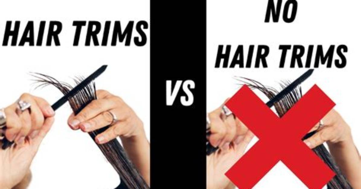 Don T Cut Your Hair the Viral Clip in Wolf Cut Hack Taking Over
