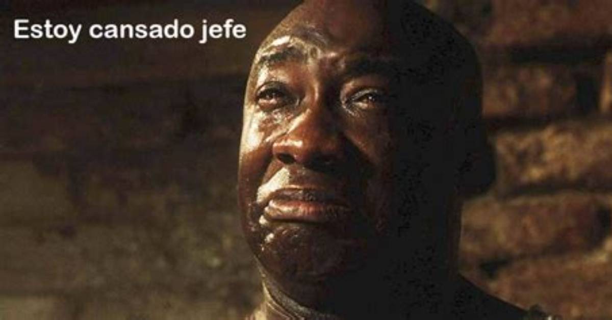 Estoy Cansado Jefe Explained Meaning Dubbing And