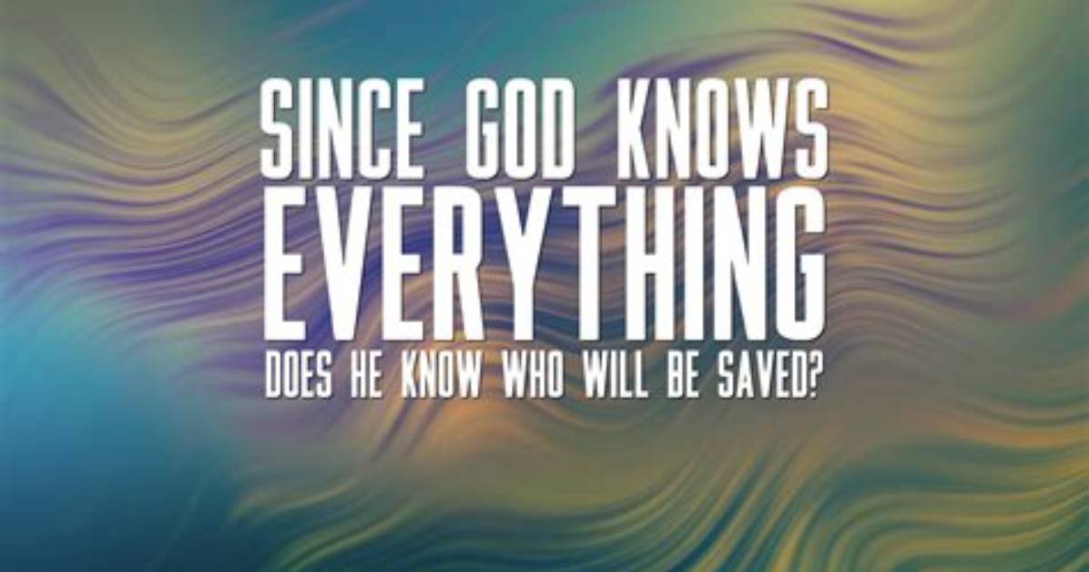 Everything to Know About