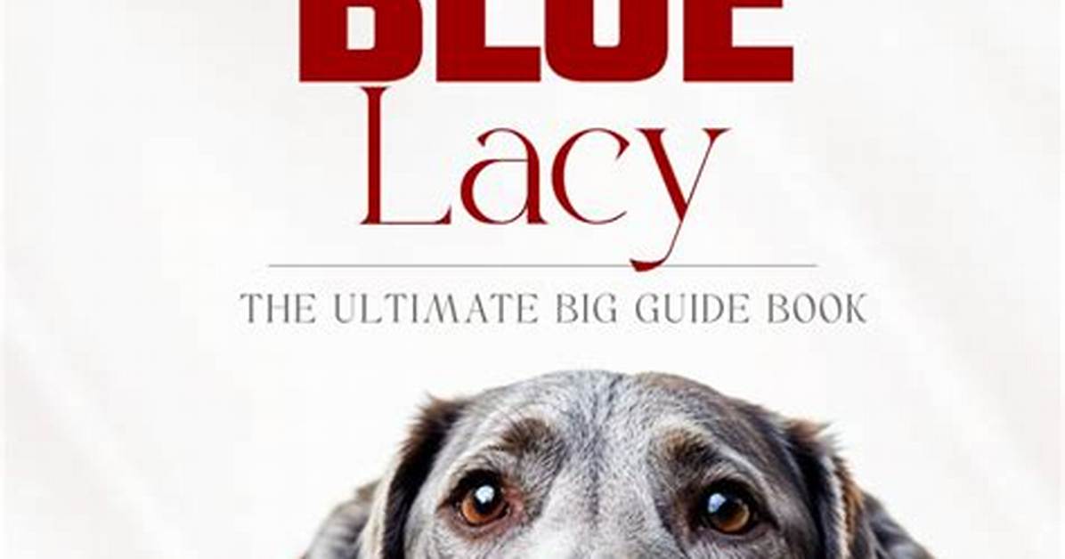 Everything You Need to Know About Lacy S Leg Injury Details Cause And