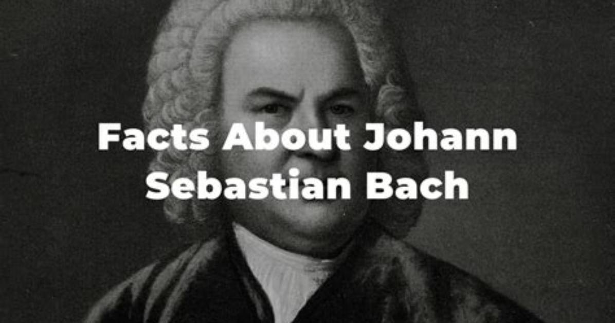 Everything You Need to Know About Sebastian the Ibis Origin Lore And