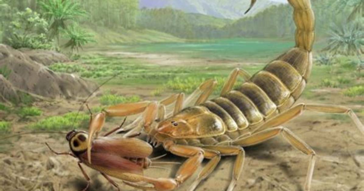 Evolution of the Scorpion Diet How Ancient Predators Mastered