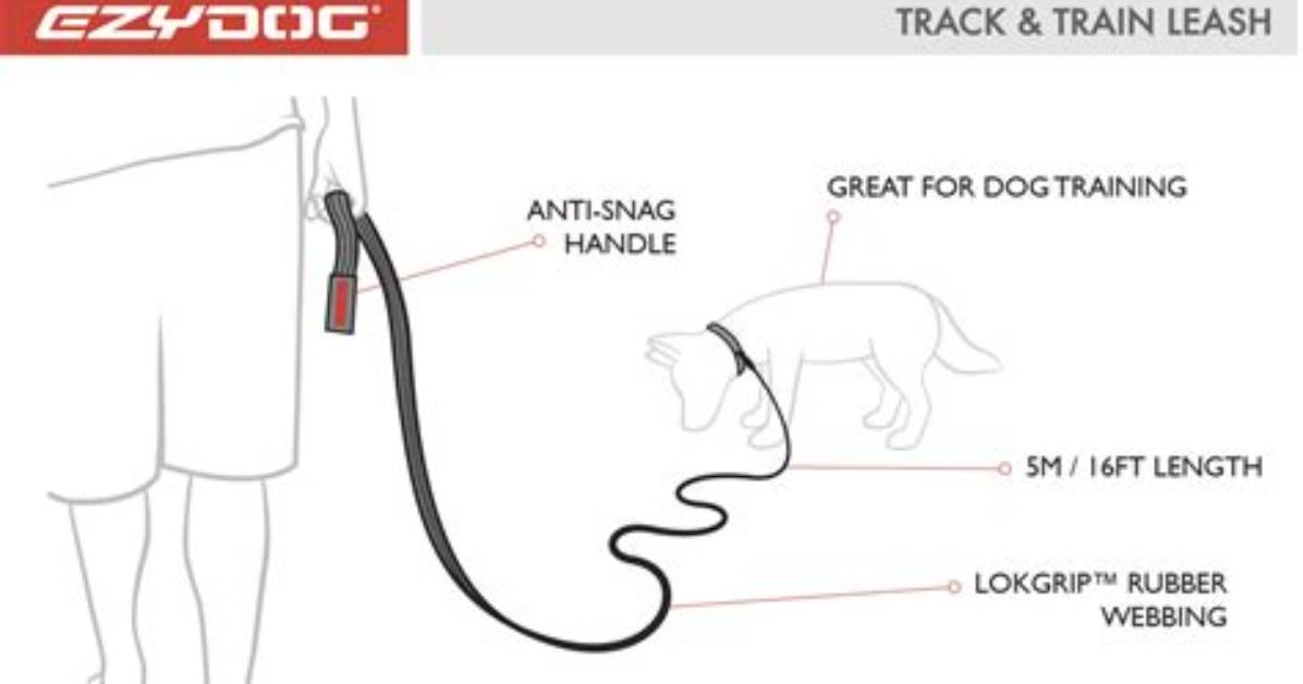 Ezydog Track Train Leash Fact Check Built for Tracking Or