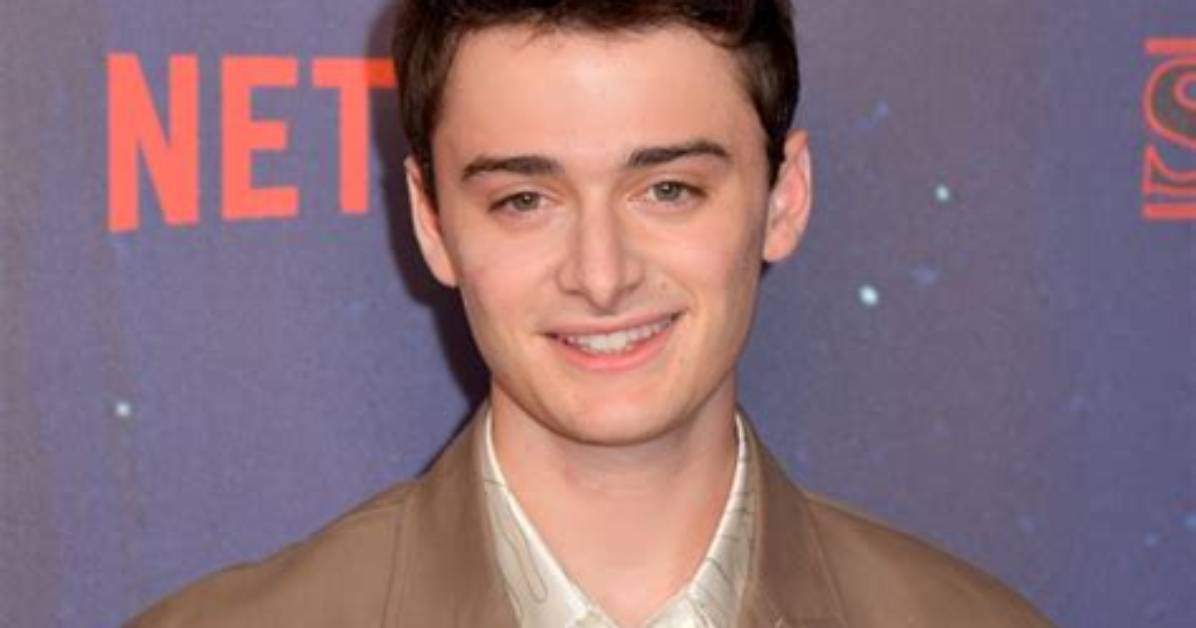 Fact Check Is Noah Schnapp Gay in Real Life or Just In