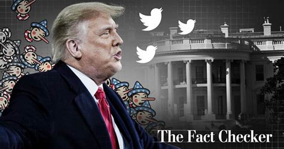 Fact Check the Truth Behind the Shut up Mom