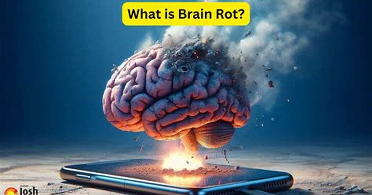 Fact Checking 67 Does the Brain Rot Slang Have a Secret Meaning Or