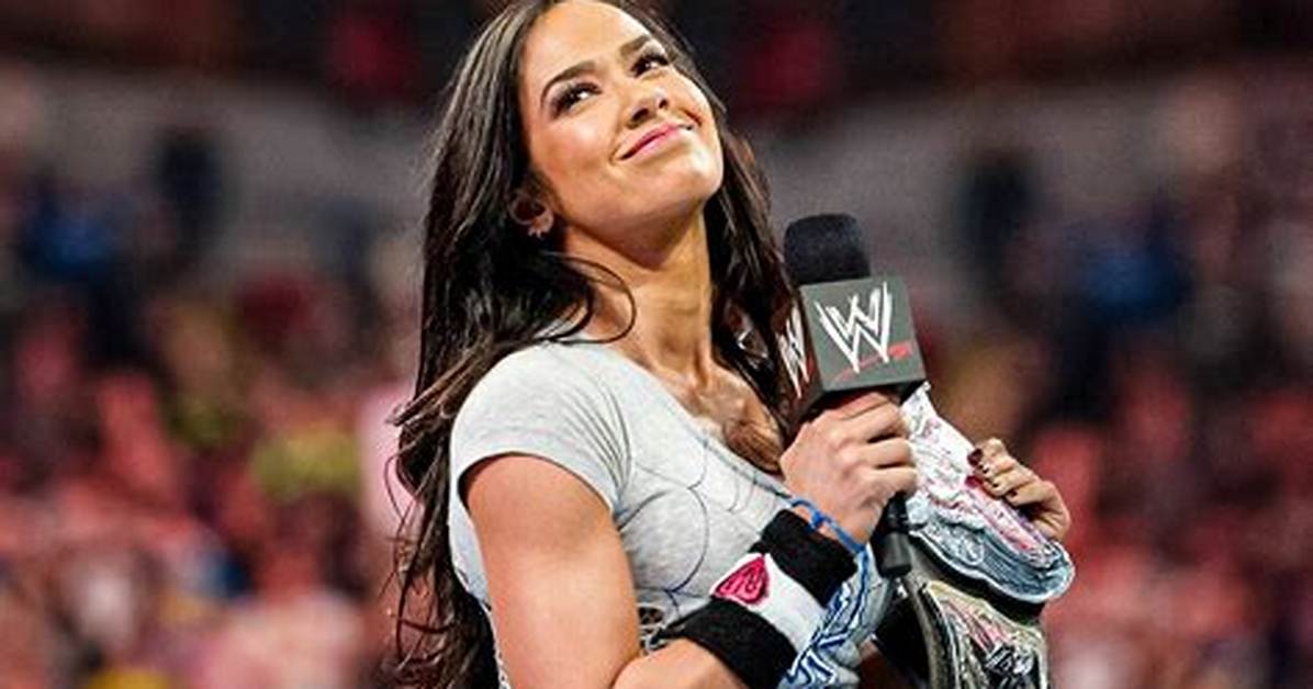 Fact Checking Aj Lee S True Net Worth Separating Online Estimates From