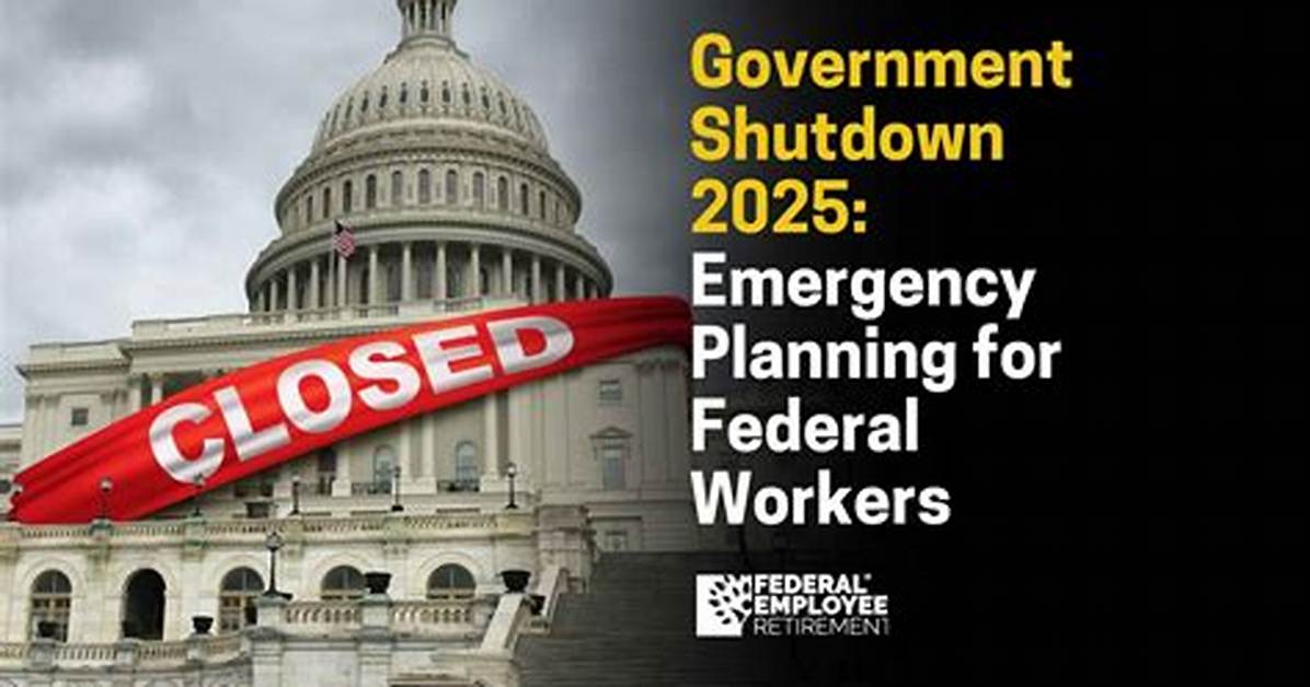 Fact Checking Bridge Day 2025 Shutdown Fears Safety Data and The