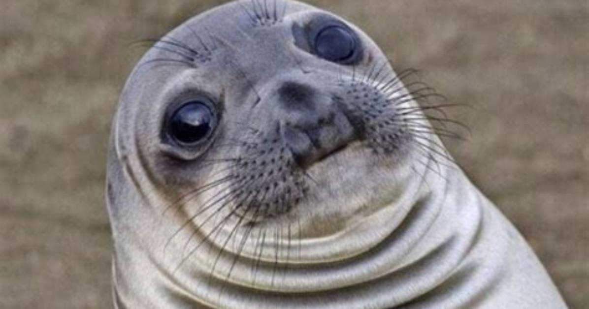 Fact Checking Everybody Hit the Sea Lion Lyrics Samples and Online