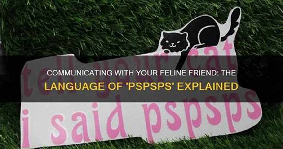 Fact Checking Feline Calling Methods Does Pspsps Work or Does It Create