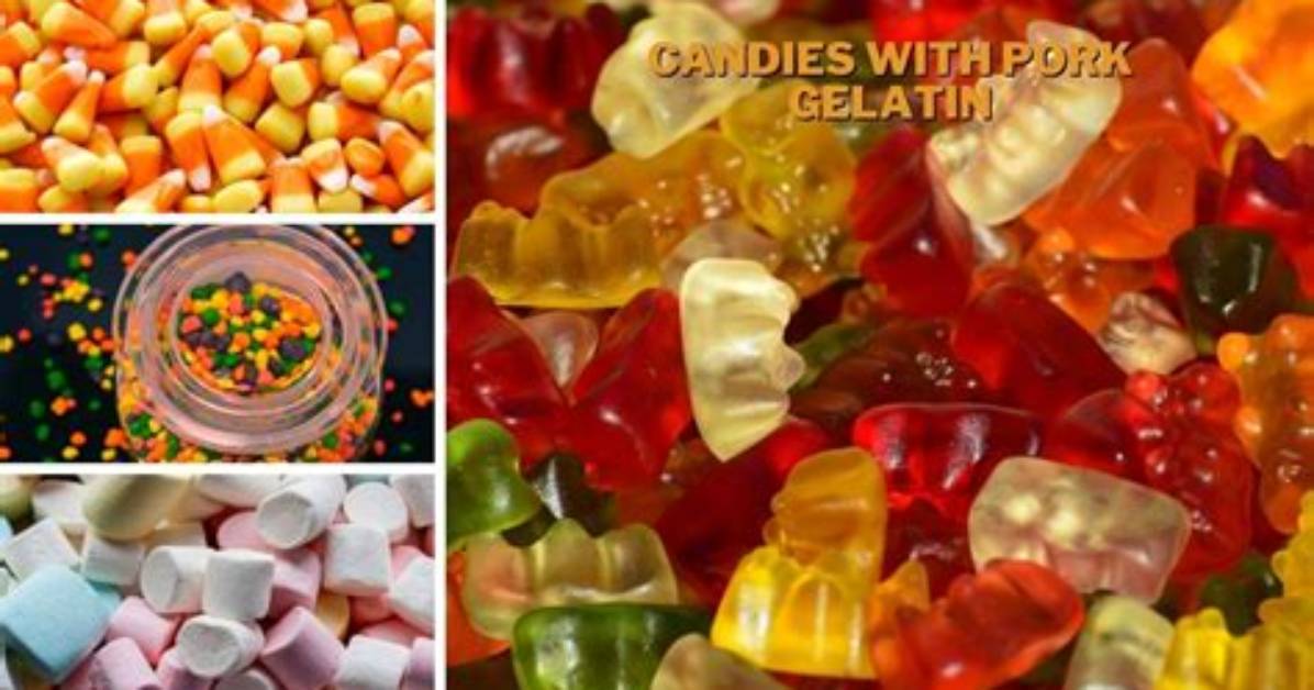 Fact Checking Nerds Candy Sourcing Pork Gelatin and Halal