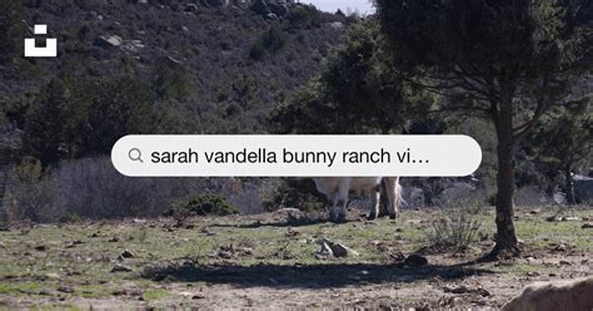 Fact Checking Sarah Vandella and Mustang Ranch Myth Marketing Or