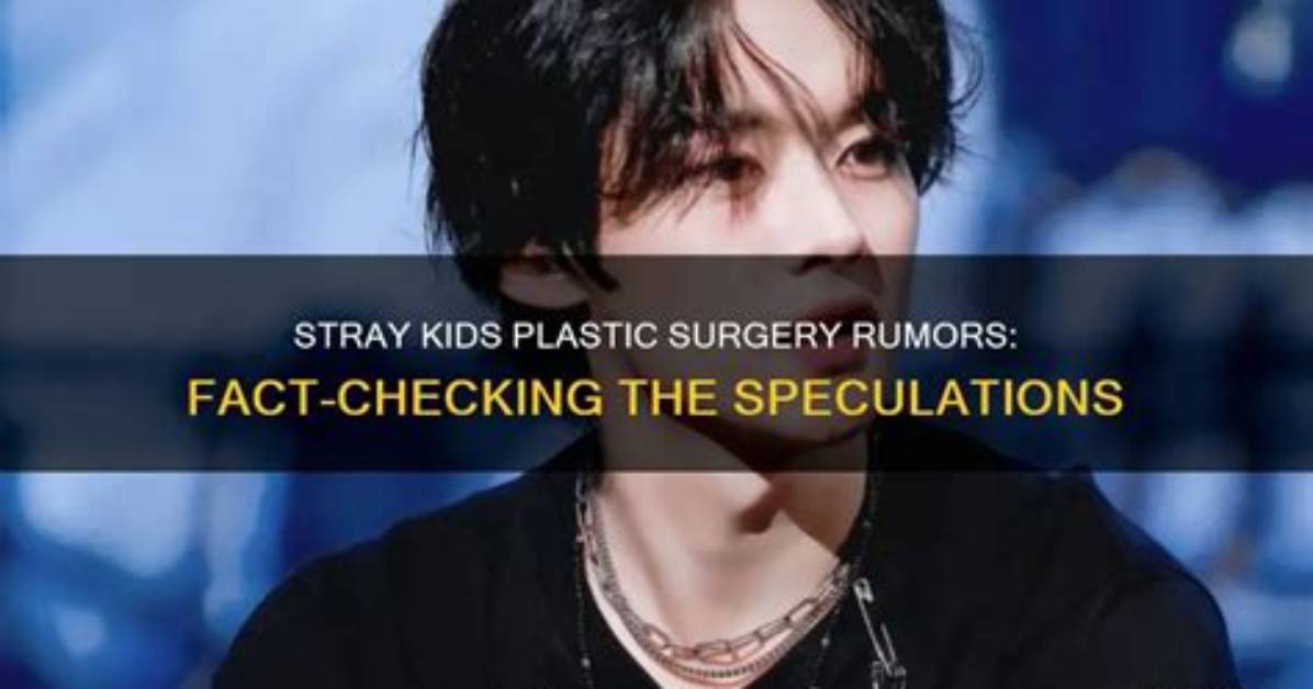 Fact Checking Stray Kids on Weverse Bubble Fans and the Platform