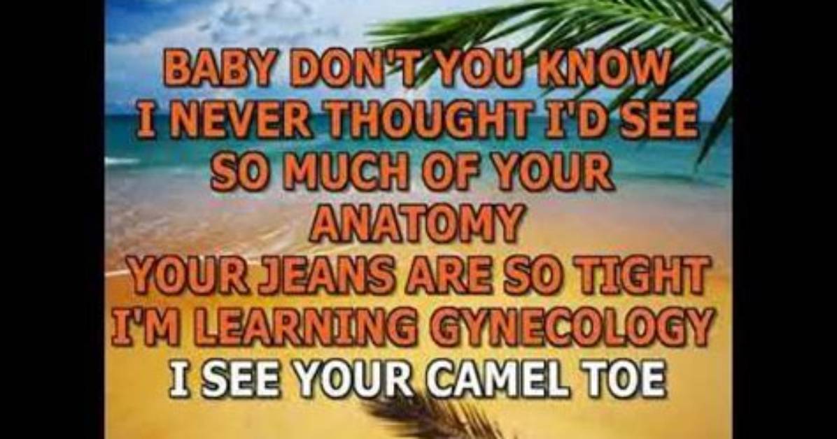 Fact Checking the Camel Toe Song Origins Credits And