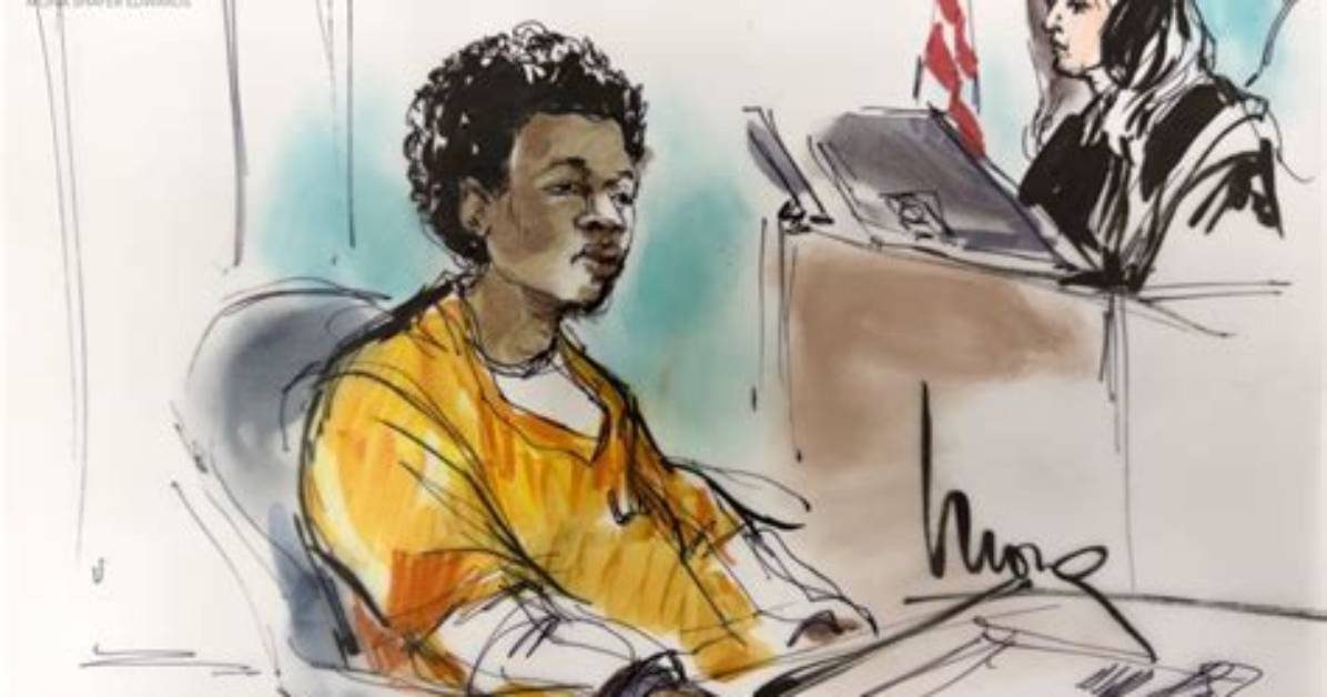 Fact Checking the Celeste Court Drawings Reality Vs