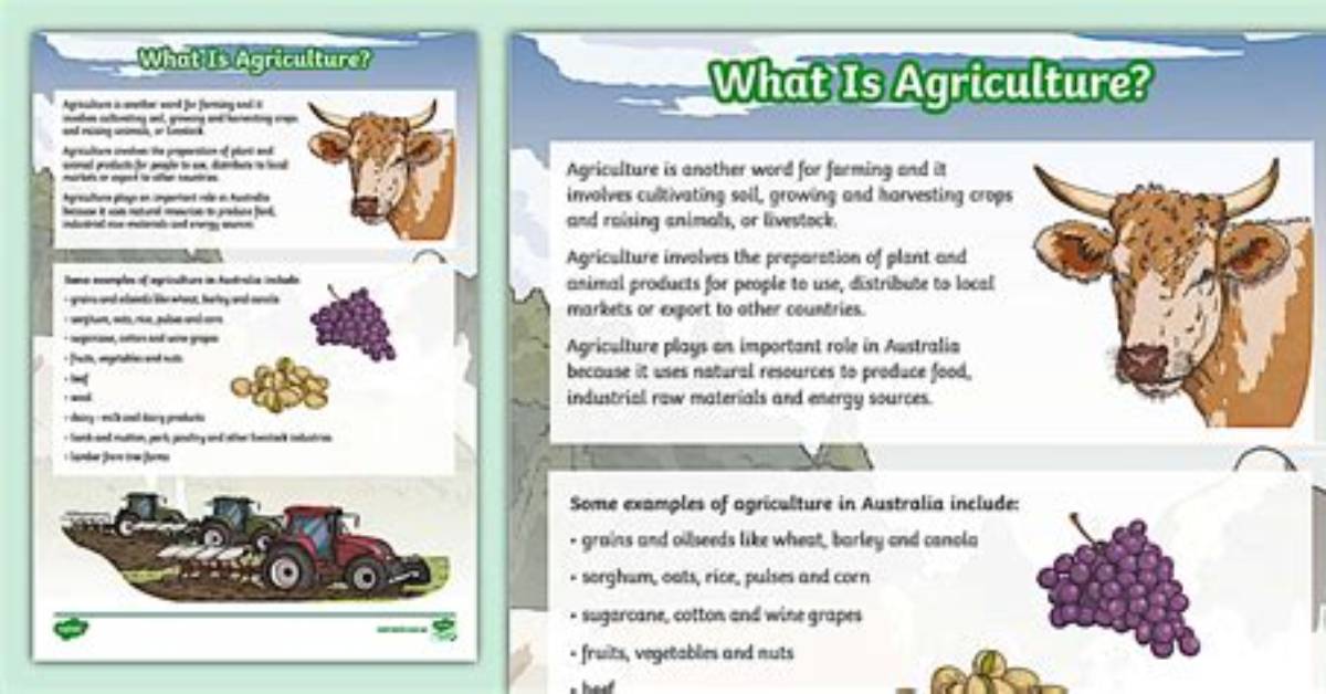 Fact-Checking the Definition of Agriculture: What Counts and What Doesn't?