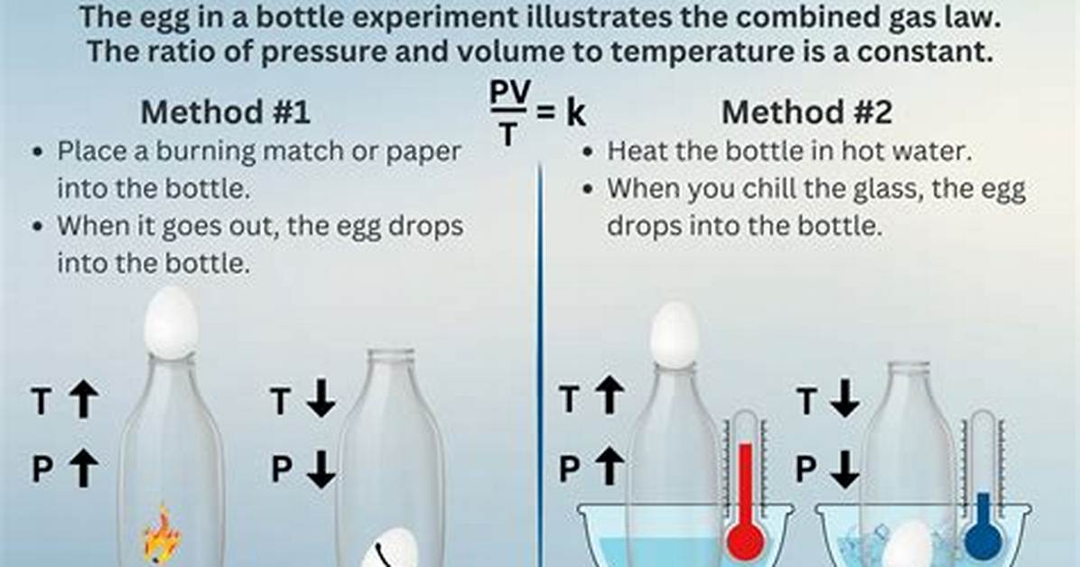 Fact Checking the Egg in a Bottle Demo Thermodynamics Vs