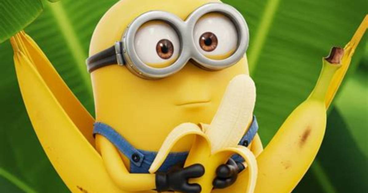 Fact Checking the Minion Banana Phenomenon Linguistic Masterstroke Or