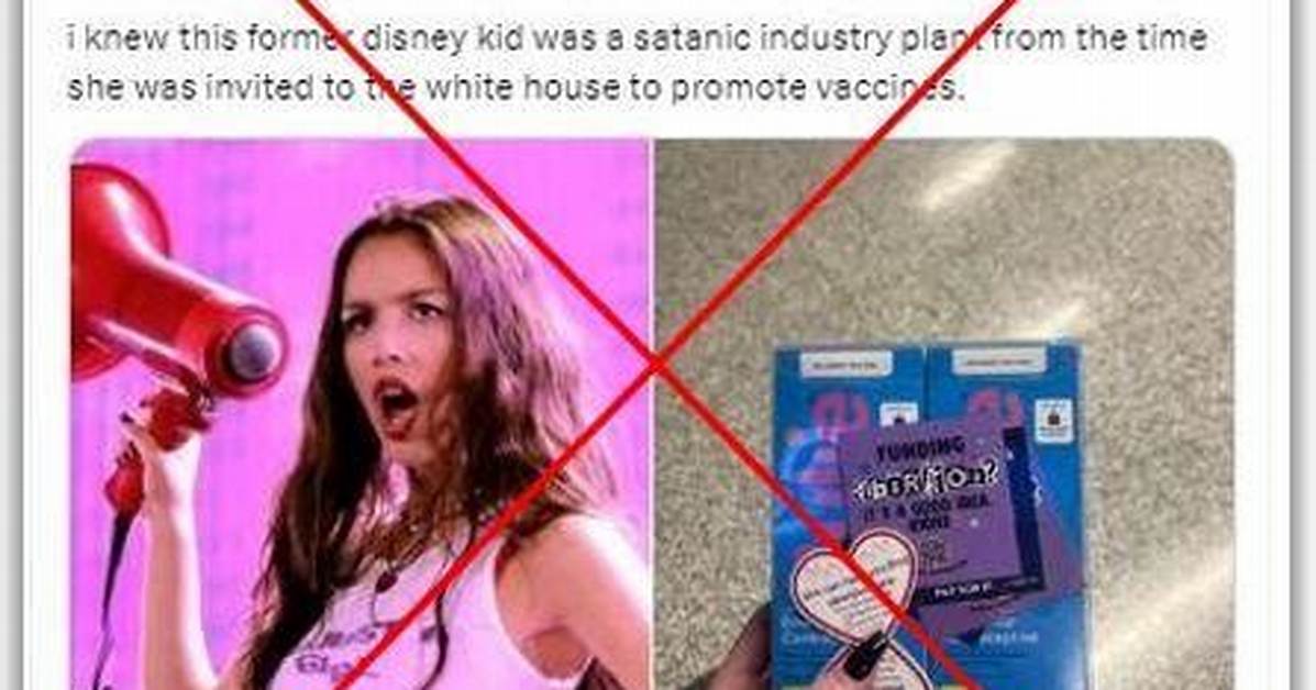 Fact Checking the Olivia Rodrigo Pmv the Dark Reality of Celebrity Fan
