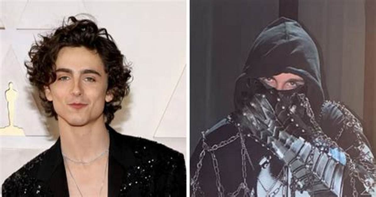 Fact Checking the Timothee Chalamet Rap Rumors Alter Ego Hoax Or