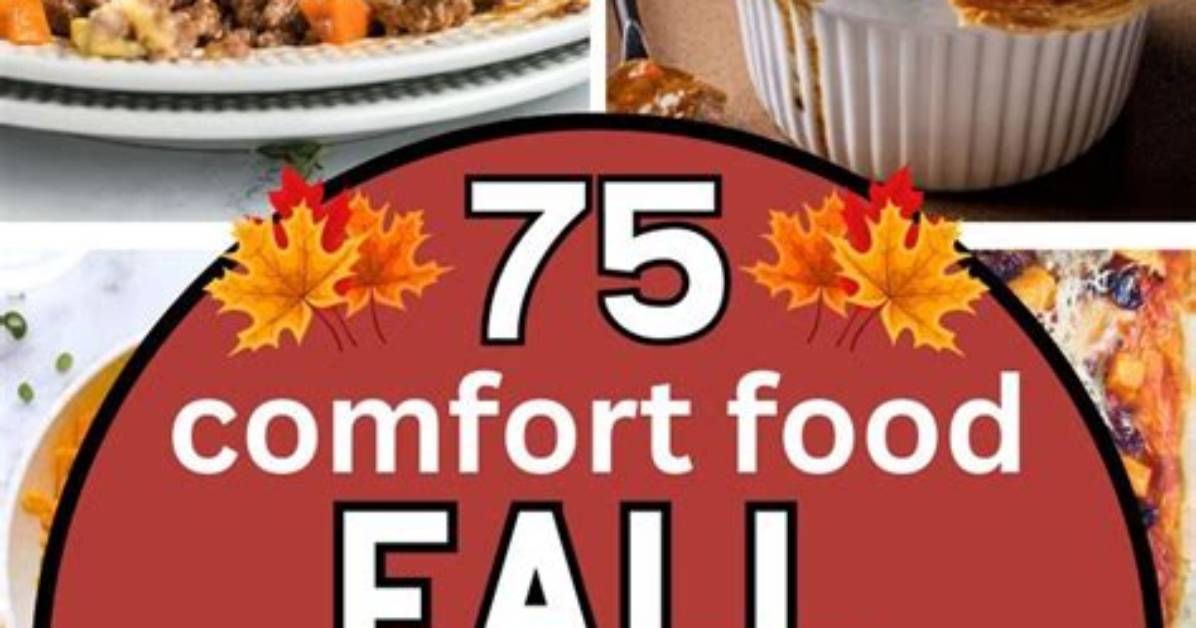 Fall 2026 Comfort Dinner Wave Regional