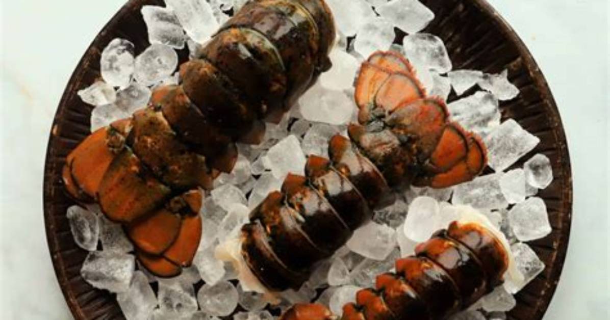 Fast Track Defrosting How to Thaw Lobster Tails Safely in Under 30