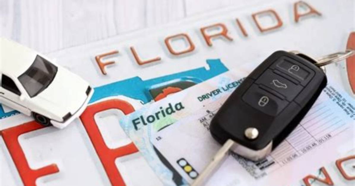 Florida Dmv Moves to English Only Exams the Sudden Crisis Facing Haitian