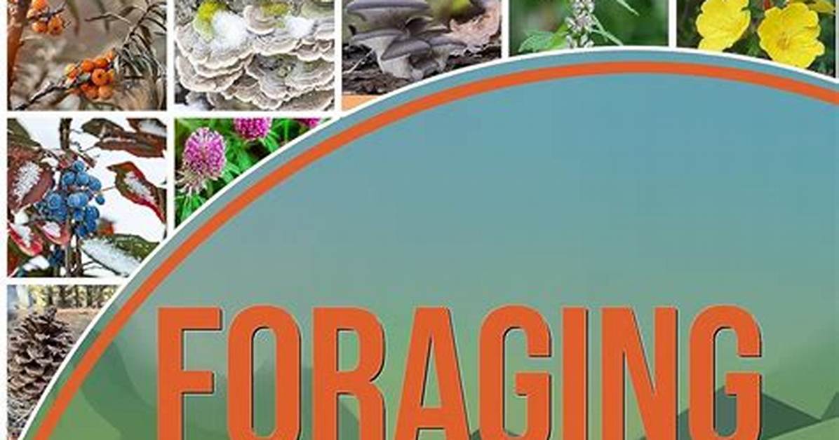 Foraging Season Alert How to Safely Identify Fall Puffball Mushroom