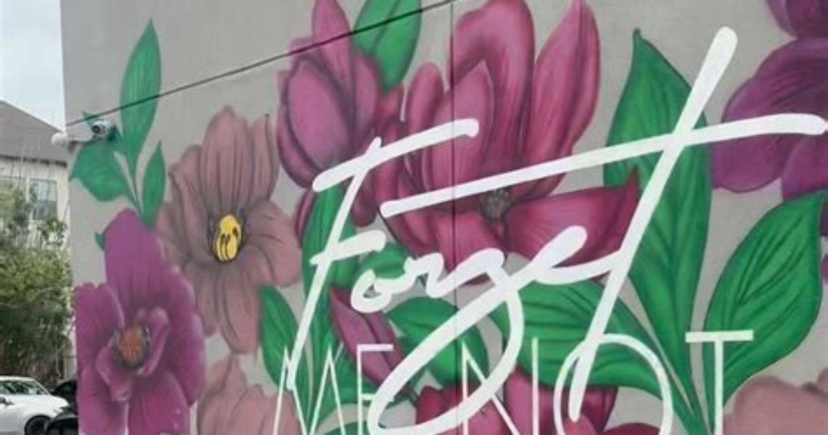 Forget Me Not Houston Event Guide What to Know Before Visiting