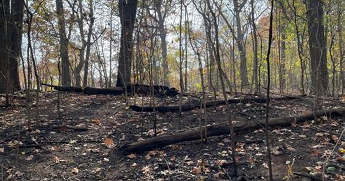 Foster Park Fire Damage and Trail Conditions Photos Fire Maps And