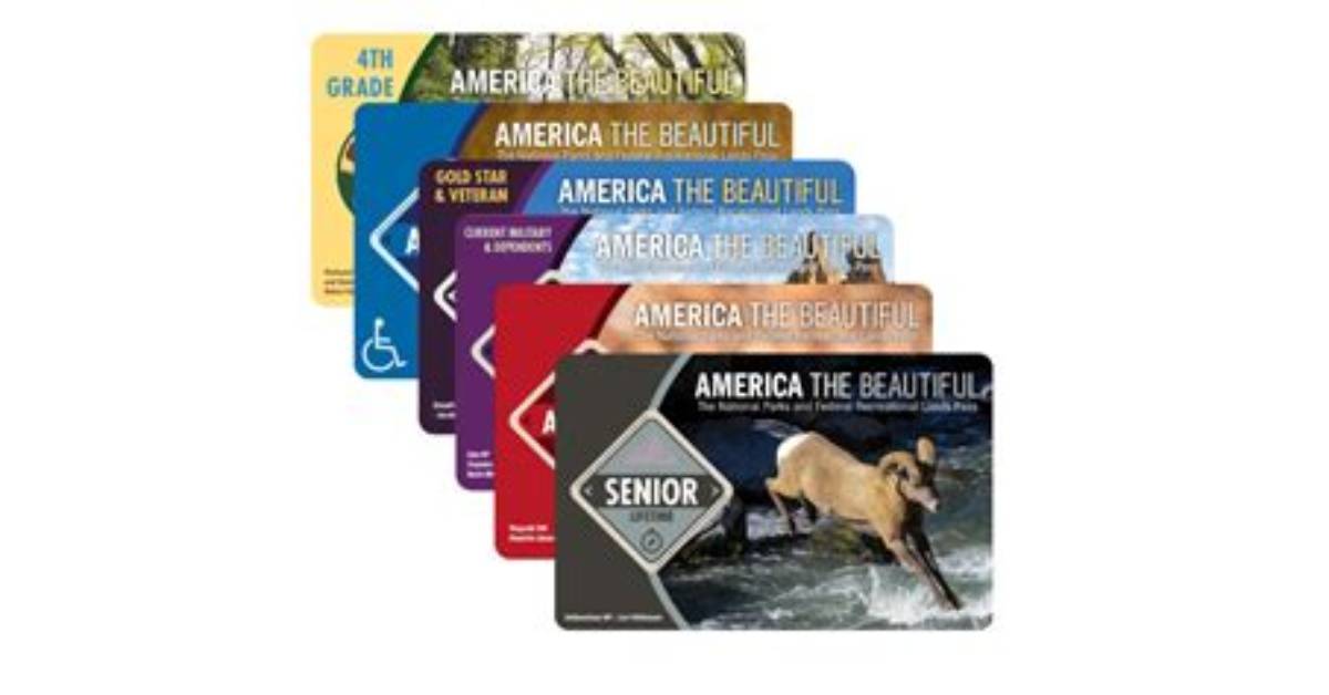 Free Days vs Annual Pass the Truth About Houston Zoo