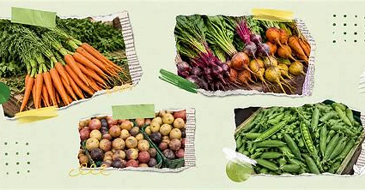 Fresh Food Bargains Surge How Specialty Produce Landed On