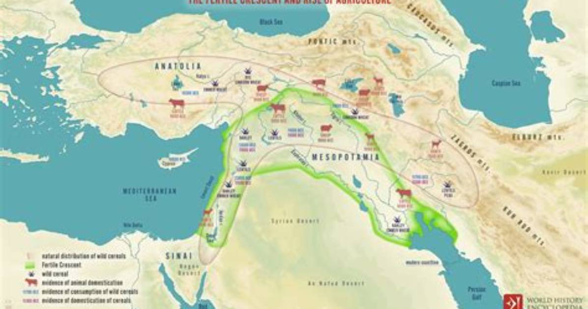 From Ancient Fertile Crescent to Agri Tech 4 0 the Evolution Of