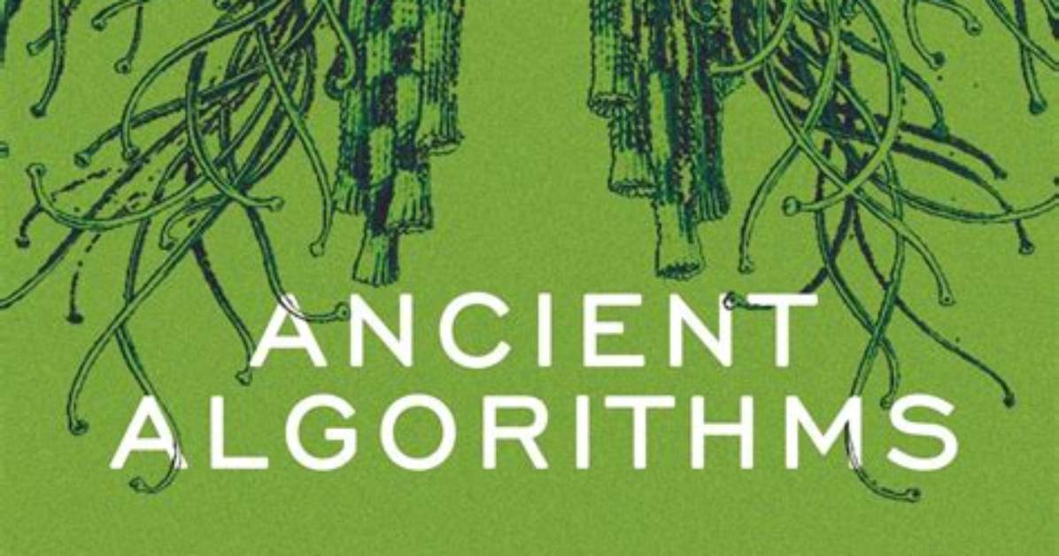 From Ancient Speculation to Viral Algorithms the Evolution Of