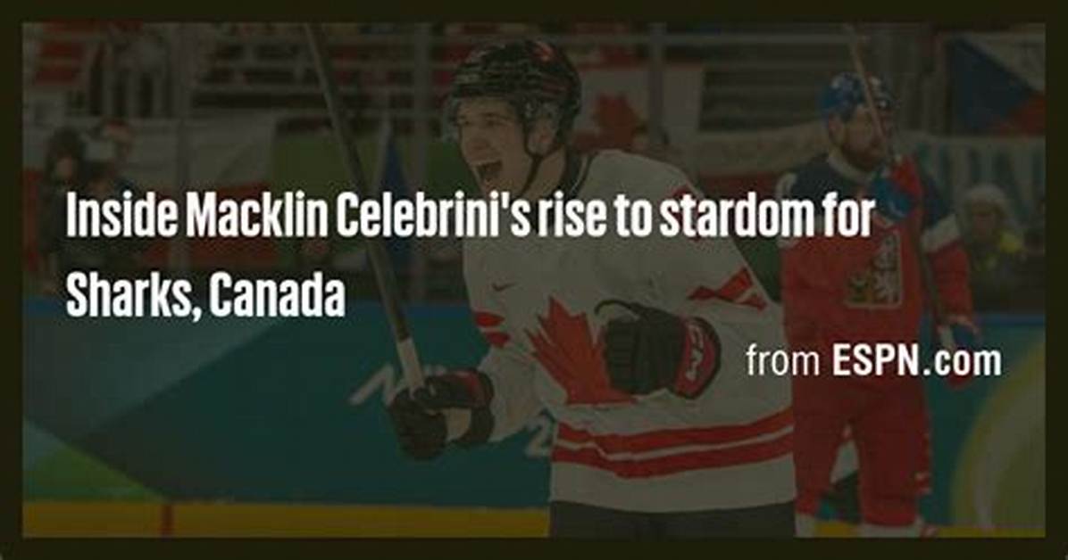 From Boston University to Sharks Stardom Macklin Celebrini S Hair And