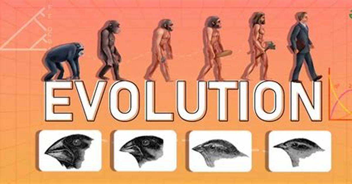 From Classroom to Everyday Life the Evolution of How We Introduce Ourselves In