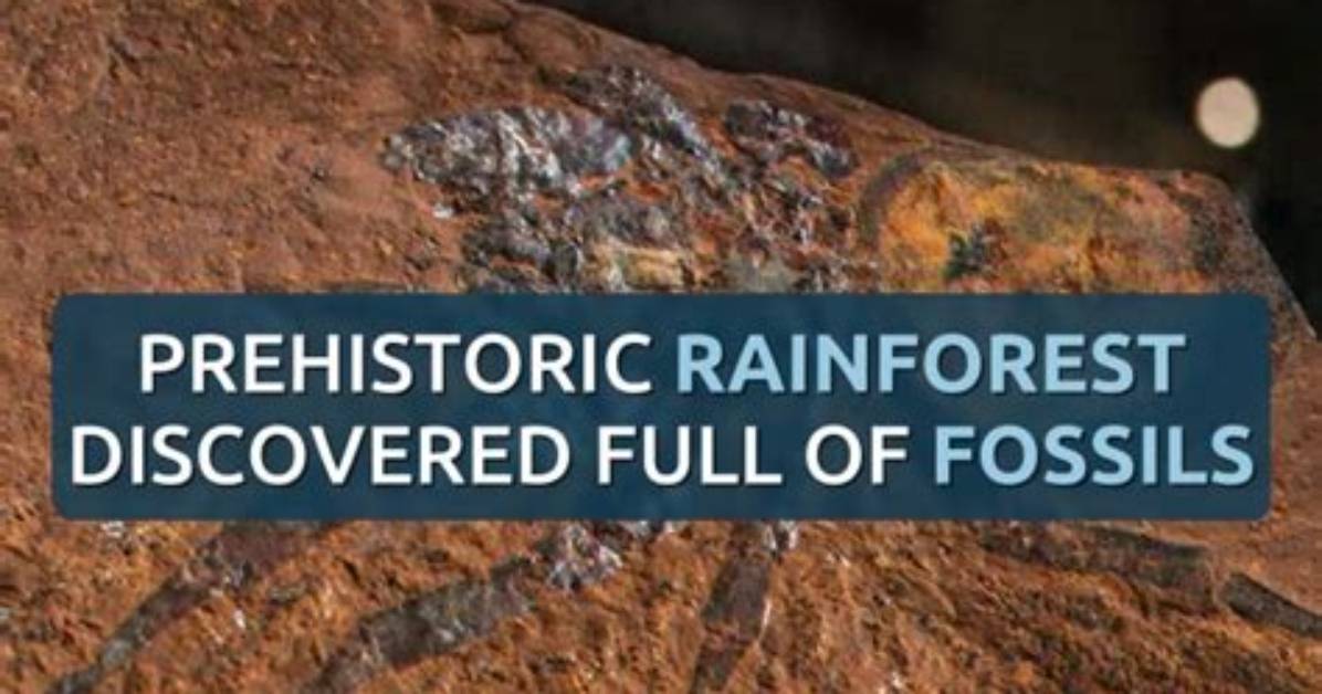 From Disaster Tech to Prehistoric Fossils Why 2 Meters Tall Is Suddenly Dominating The