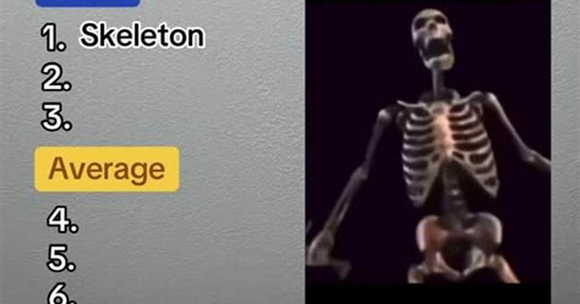 From Fan Memes to Mainstream Education the Evolution of Tiktok S Musical