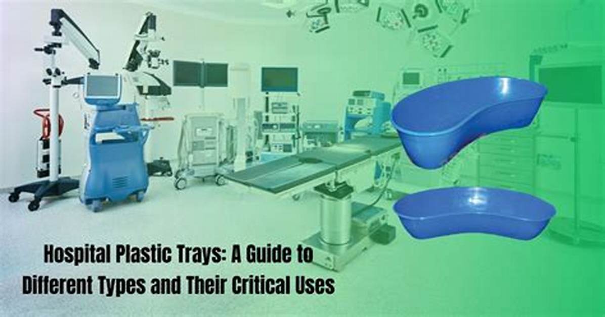 From Hospital Trays to Classrooms Visual Proof Health Transformation Starts