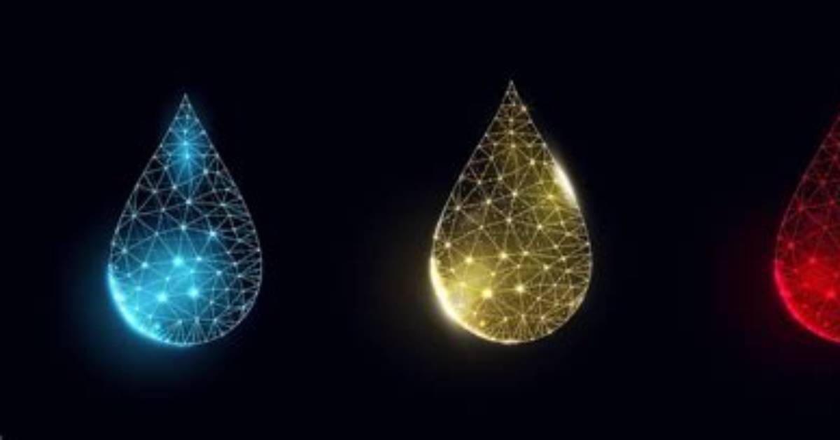 From Low Poly Graphics to Frame Drops Visual Proof of What Kaku
