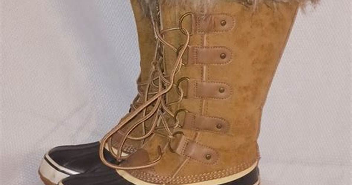 From Ring Boots to Executive Shoes Jbl S Candid Take on Wwe