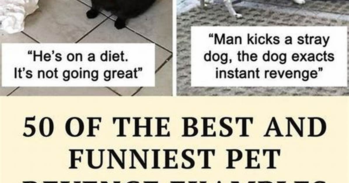 From Royalty to Dogs the Funniest Examples of the Bombastic Side Eye