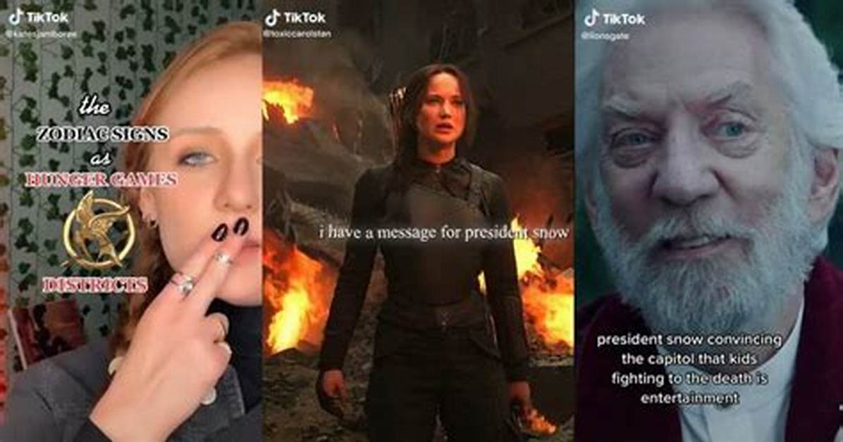 From Tiktok to Hollywood Payroll Proof Hunger Games Fan Editors Are