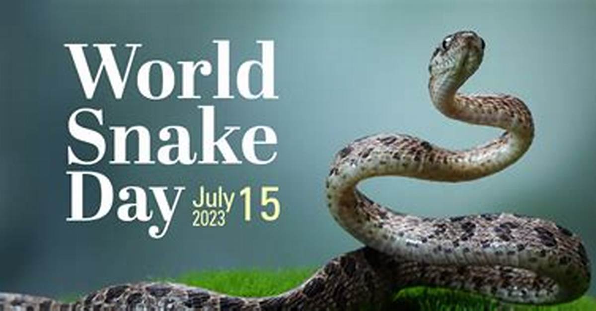 From World Snake Day Spotlights to Wildlife Seizures the Albino Milk