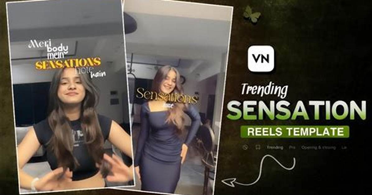 From Youtube Drop to Viral Sensation Timeline of the I M Scared