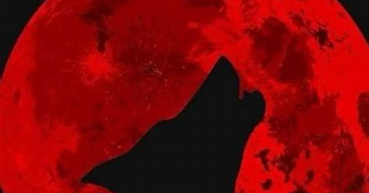Full Moon Curse by the Numbers Every Twist in Amy and Liam S