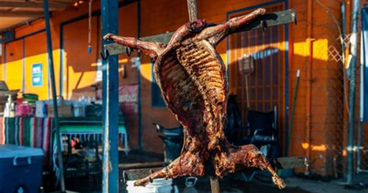 Goat Spit Leaks Examined Dissecting the Evidence Screen Recordings And