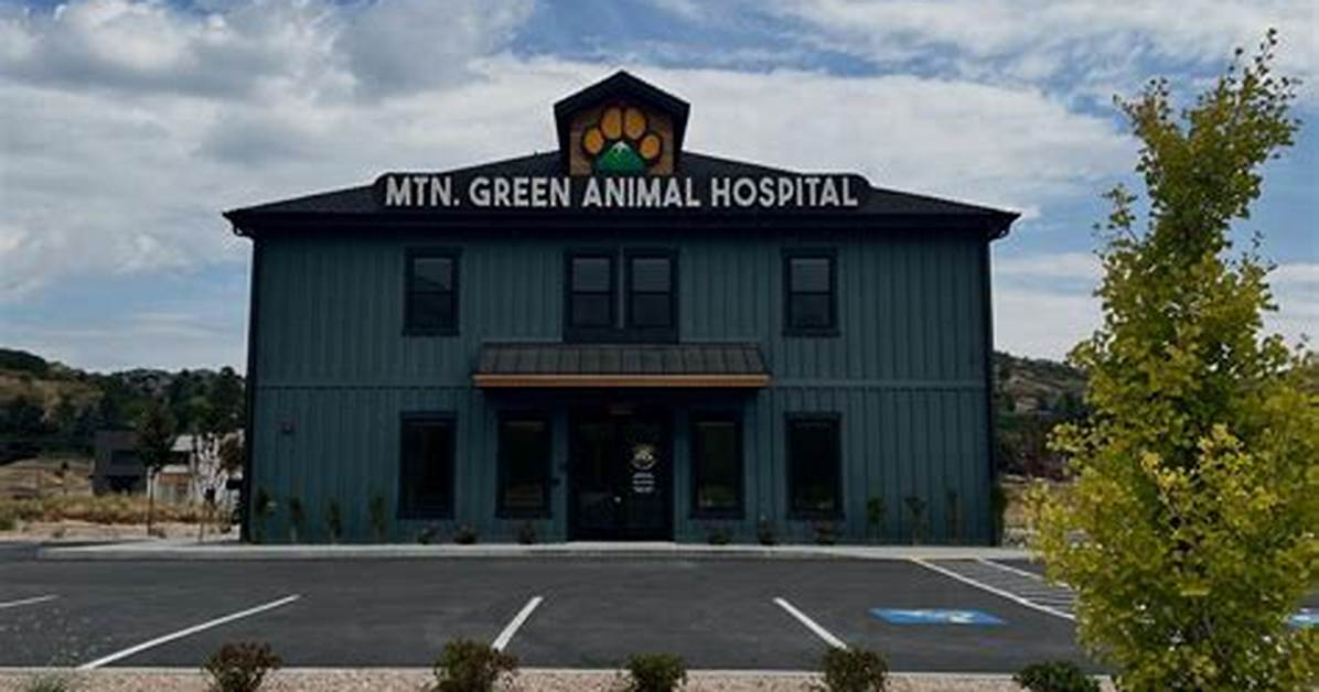 Green Animal Hospital Ohio Complete Guide to Services Hours And